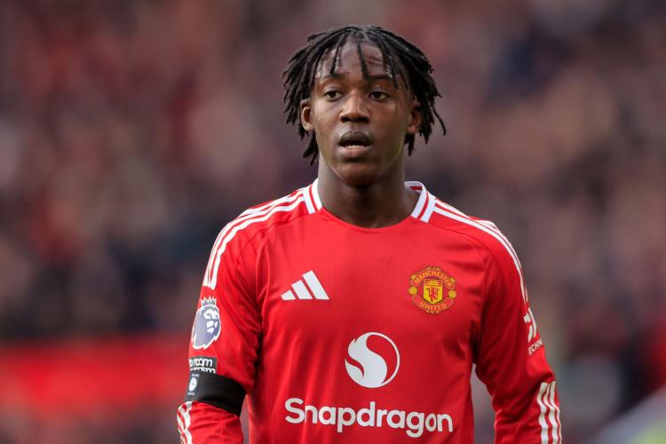 梅努似乎很 梅努似乎很